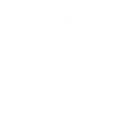 THE CHIC DANCE ACADEMY 로고